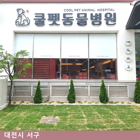 대전 동물 병원